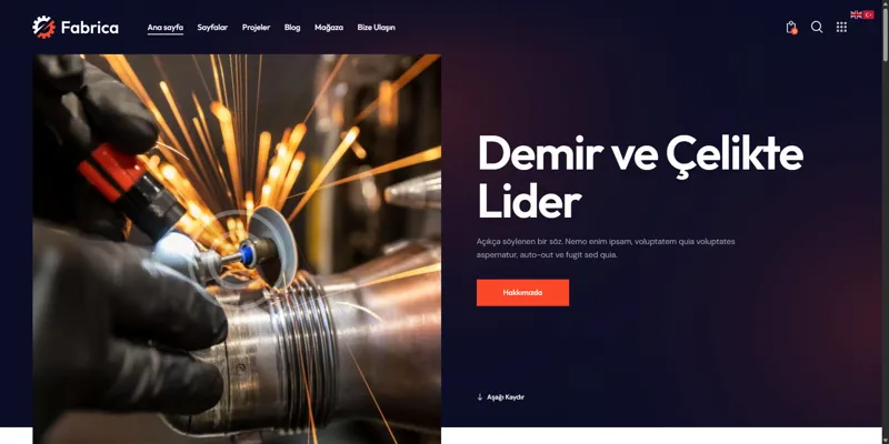 Demir Çelik Demo 1